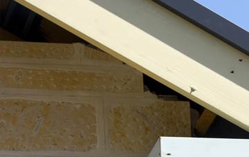 soffit repair Priest Weston